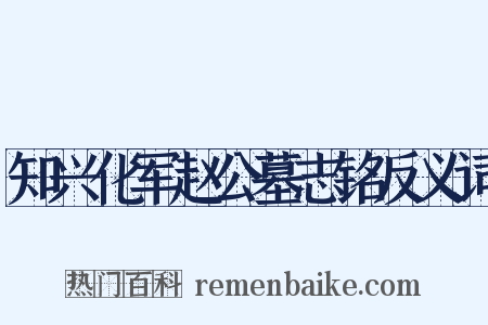 知兴化军赵公墓志铭反义词是什么意思的图片